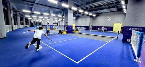 体育圈的天花板,巅峰时刻的辉煌与挑战