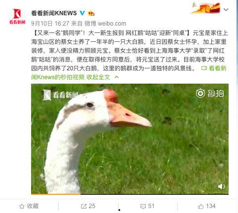 网红大鹅 黑黑是什么意思流行词,流行语的魅力与内涵