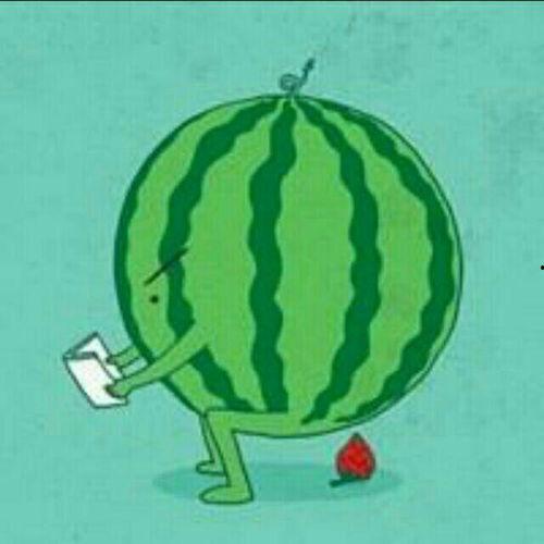 瓜在体育圈是什么意思,揭秘体育界的神秘网络用语